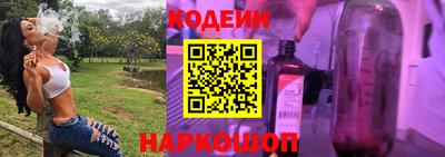 индика Камышлов