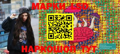 индика Камышлов