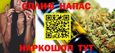 индика Камышлов