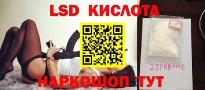 СК Кандалакша