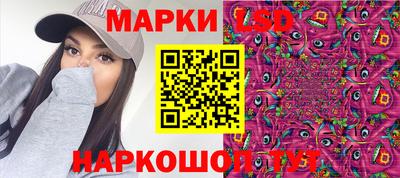 индика Камышлов