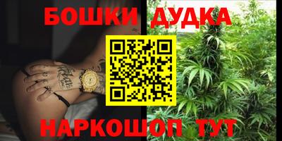 индика Камышлов