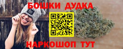 СК Кандалакша