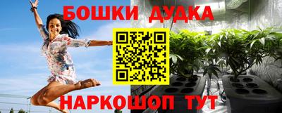 индика Камышлов