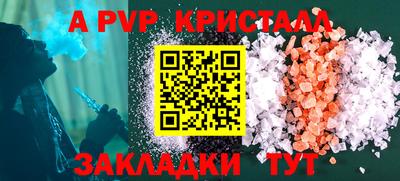 индика Камышлов