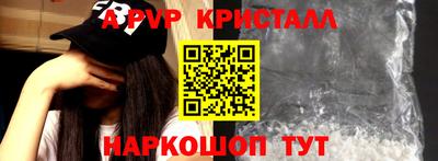 индика Камышлов