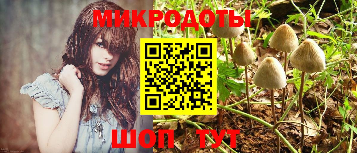 Галлюциногенные грибы Psilocybine cubensis  Вход с VPN  Губаха 