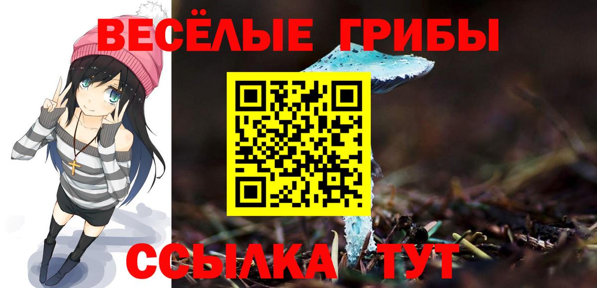 Псилоцибиновые грибы Cubensis Губаха